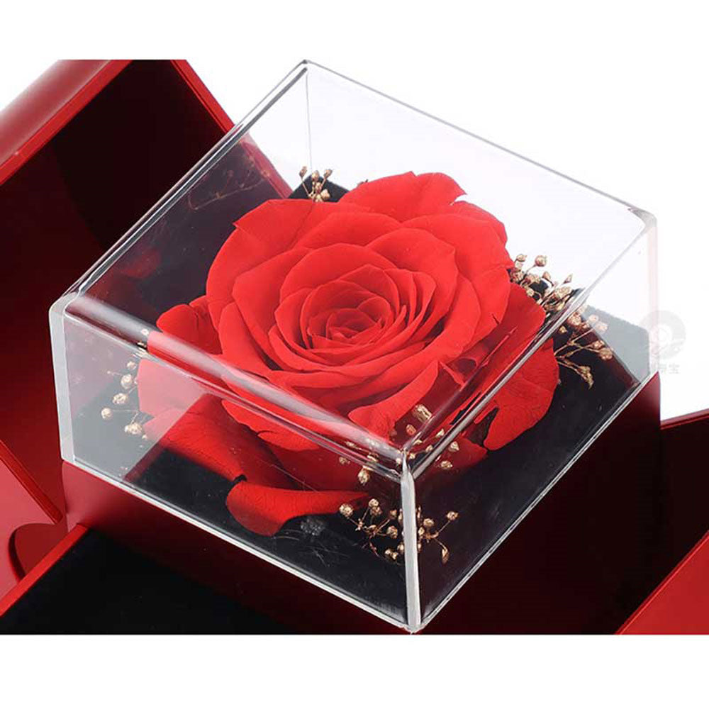 Close-up of the preserved red rose inside its clear acrylic display case with gold accent sprigs